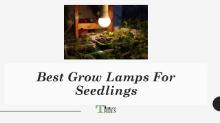 Best Grow Lamps For Seedlings Treesindoor