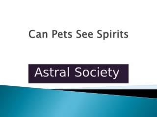 can pets see spirits?