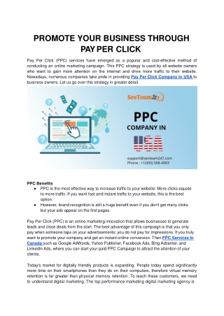 PROMOTE YOUR BUSINESS THROUGH PAY PER CLICK-converted