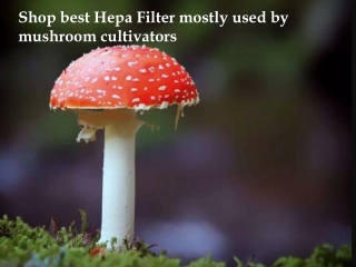 Shop best Hepa Filtre mostly used by mushroom cultivators