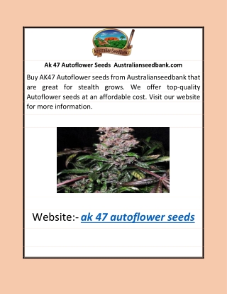 Ak 47 Autoflower Seeds | Australianseedbank.com