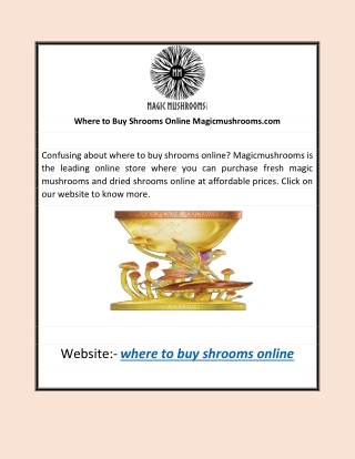 Where to Buy Shrooms Online | Magicmushrooms.com