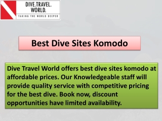 Best Dive Sites Komodo