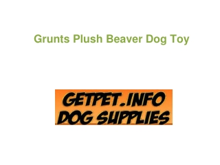 Grunts Plush Beaver Dog Toy
