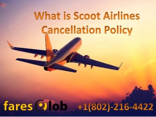 What is Scoot Airlines Cancellation Policy - Faresglob