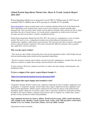 Global Protein Ingredients  Market