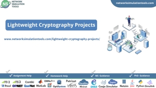 Lightweight Cryptography Projects Research Ideas