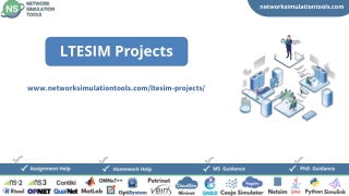 Research Topics in LTESIM Projects
