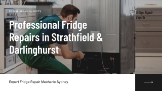 Professional Fridge Repairs in Strathfield & Darlinghurst