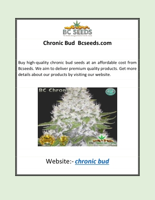 Chronic Bud | Bcseeds.com