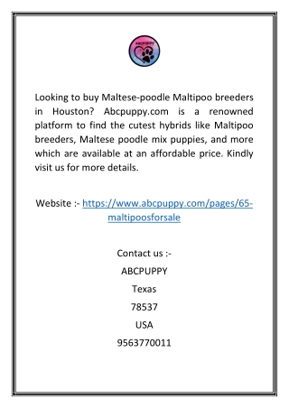 Maltese-poodle Maltipoo Breeders in Houston  Abcpuppy.com-converted