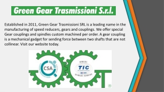Gear Couplings Italy