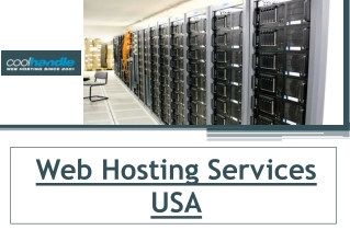 Web Hosting Services USA