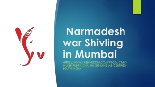 Narmadeshwar Shivling in Mumbai