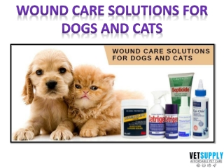 Wound care solutions for dogs and cats | Pet Care | Pet Supplies | VetSupply