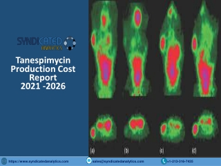 Tanespimycin Production Plant Cost Analysis 2021-2026 PDF
