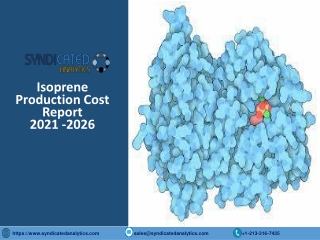 Isoprene Production Plant Cost Analysis 2021-2026 PDF