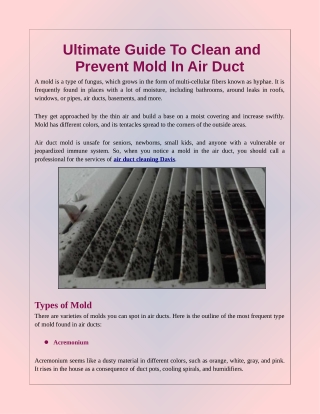 Ultimate Guide To Clean and Prevent Mold In Air Duct