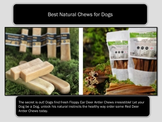 Best Natural Chews for Dogs