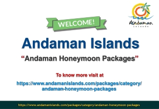 Best Andaman Honeymoon Packages