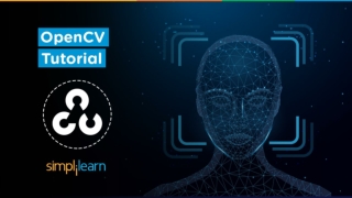 OpenCV Full Course | OpenCV Tutorial For Beginners | OpenCV Python Tutorial |