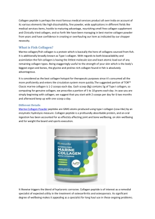 Best Collagen Powder for Skin & Hair