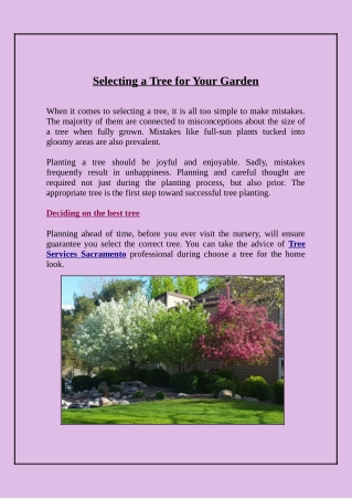 Selecting a Tree for Your Garden