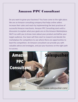 Amazon PPC Consultant