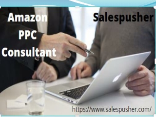 AMAZON PPC CONSULTANT PPT