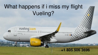 What happens if i miss my flight Vueling_