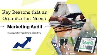 Perform a Digital Marketing Audit