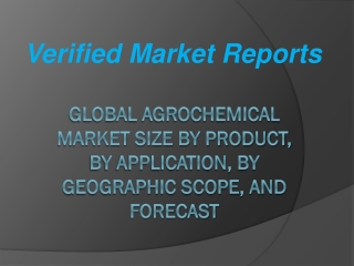Global Agrochemical Market Size