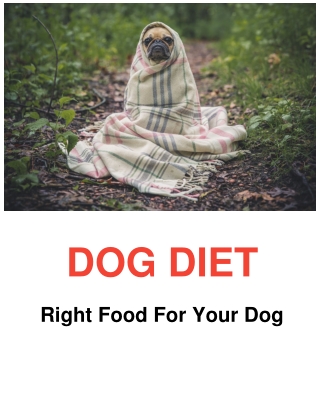 Dog Diet - The Right Food for Your Dog