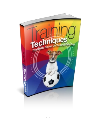 Training Techniques Of Dogs