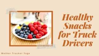 Healthy Snacks for Truck Drivers