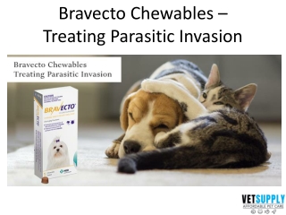 Bravecto Chewables - Parasitic Treatment | Pet Care | Pet Supplies | VetSupply