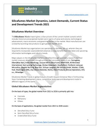 Silicafumes Market Current Status and Outlook 2026