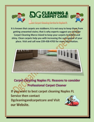 Best Services of Carpet Cleaning in Naples - Dg Cleaning and Carpet Care LLC