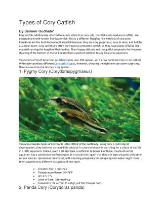 Types of Cory Catfish