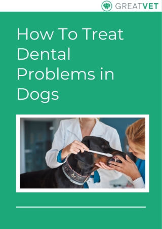 How to Treat Dental Problems in Dogs