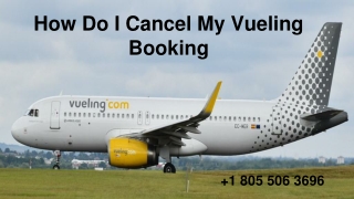 How To Cancel My Vueling booking?