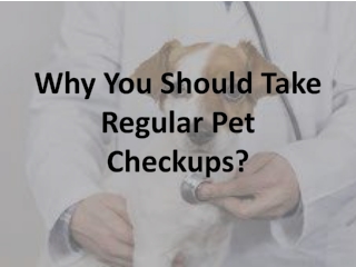 Why You Should Take Regular Pet Checkups