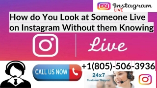 How do You Look at Someone Live on Instagram Without them Knowing?