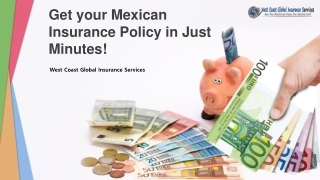 Get your Mexican Insurance Policy in Just Minutes