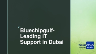 Bluechipgulf- Leading IT Support in Dubai