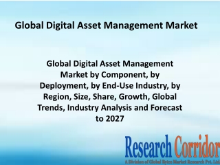 Global-Digital-Asset-Management-Market