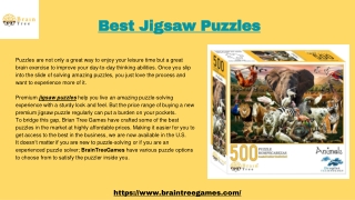 Best Jigsaw Puzzles in US