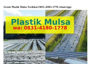 Grosir Plastik Mulsa Terdekat ౦8ᣮl-Ꮞl8౦-l778(WA)
