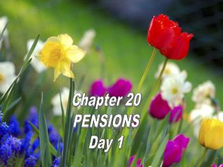 Chapter 20 PENSIONS Day 1