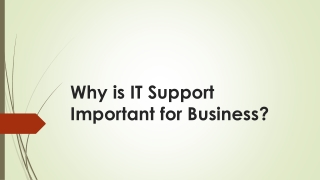 Why is IT Support Important for Business?